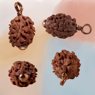 Autentyczna  Dwimukhi Rudraksha Konsekrowana w Dhyanalinga