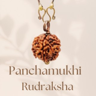 Rudraksha Panchamukhi  (five faced) z miedzianym łańcuszkiem