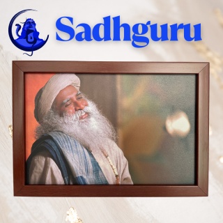 Sadhguru - Piekne zdjęcie z Mistrzem 