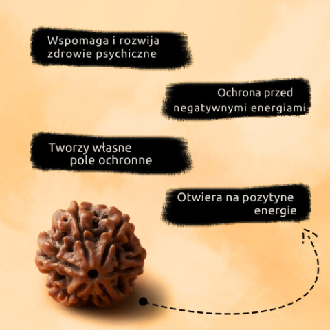 Shanmukhi - Rudraksha  Shanmukhi 6-faced Konsekrowana w Dhyanalinga
