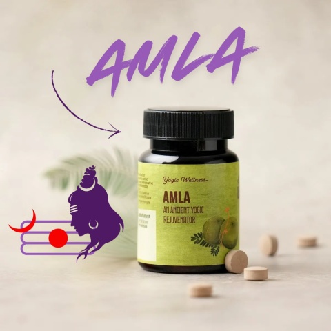 Amla Tabletki 60 szt. 