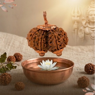 Gaurnkar Królowa Rudrakshy Konsekrowana  Gauri-Shankar Gowrnker