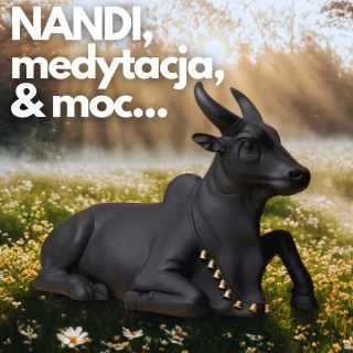 NANDI Dostojna Medytacja - 