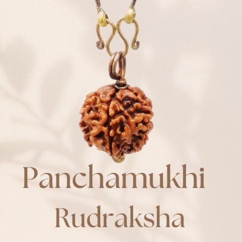 Długi łańcuszek - Rudraksha Panchamukhi  (five faced) z miedzianym łańcuszkiem